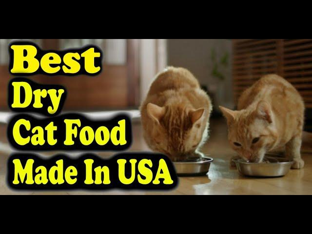 Best Dry Cat Food Made In USA