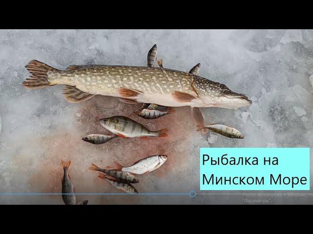 Рыбалка на Минском Море 2, Ратомский залив , поймали щуку, зимняя палатка.