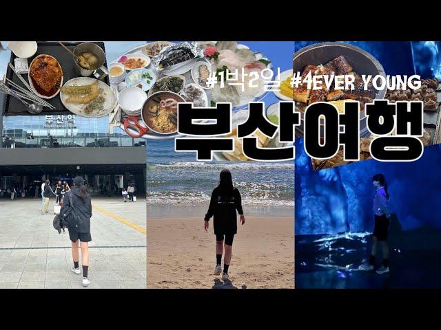 1박2일 부산여행 | 영도해녀촌 아르떼뮤지엄부산 해운대신라스테이호텔 해운대횟집 해운대시장 부산여행코스