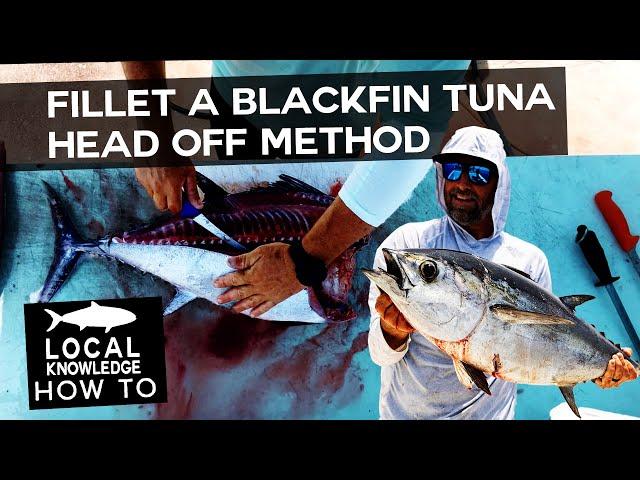 Blackfin Tuna Filleting: Head Removal Technique