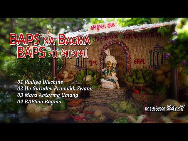 BAPS Na Bag Ma || Audio Jukebox || BAPS New Kirtan