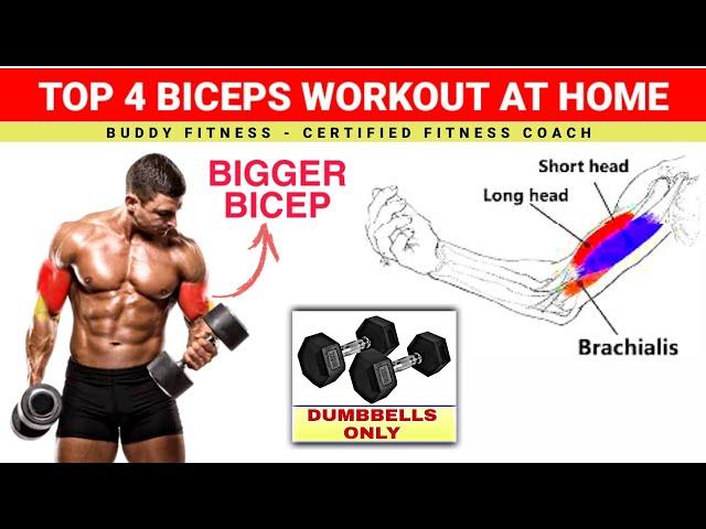 Biceps Workout At Home With Dumbbells | Dumbbell Bicep Workout