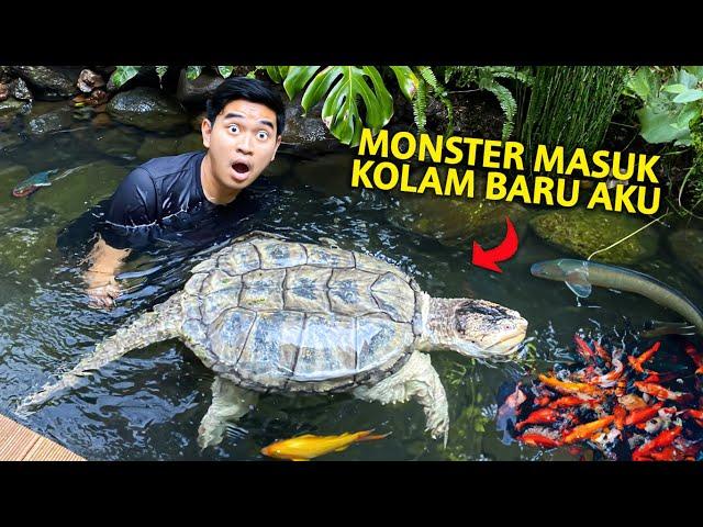 MASUKIN MONSTER JUMBO KE KOLAM BARU AKU! RENANG BARENG AKU!