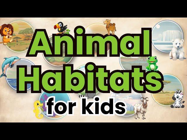 Habitats for Kids | Learn all about Rainforest, Ocean, Desert, Forest, Mountains & More