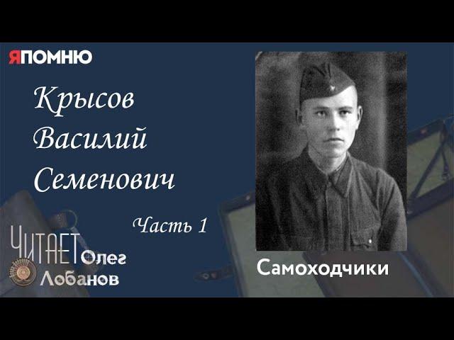 Крысов Василий Семенович Часть 1. Проект "Я помню" Артема Драбкина. Самоходчики.