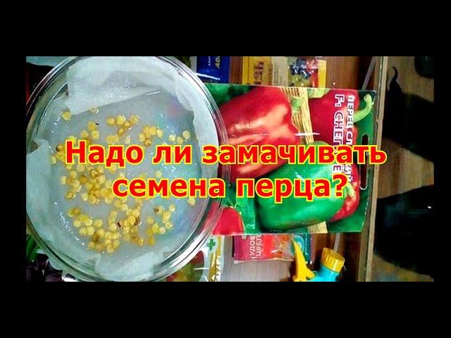 Надо ли замачивать семена перца?