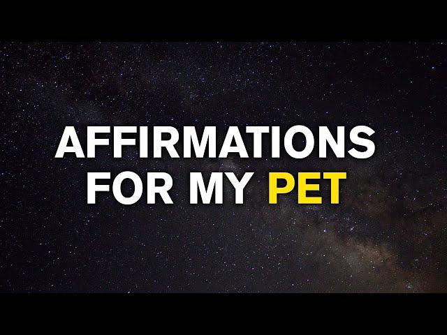 For the Love of Pets | Affirmations For My Pet | It Will Help to Bond with Your Pet | Manifest