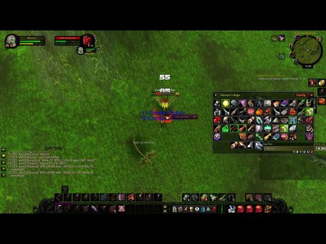 WoW Classic Quest - Screecher Spirits