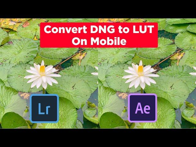 Convert DNG to LUT In 2021