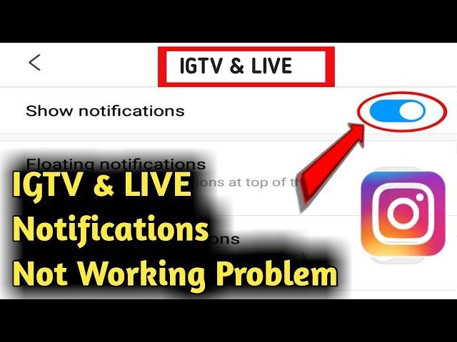 Fix Instagram Live & IGTV Notification Not Working Problem Solved