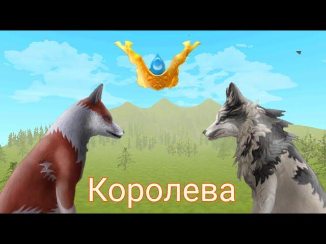 Мини-фильм "Королева" //WildCraft//