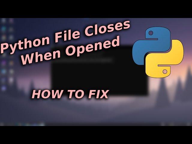 Python File Closes When Opened | How To Fix?