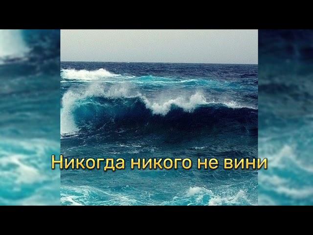 Никогда никого не вини