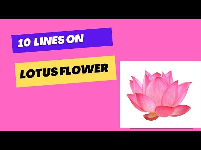 Essay on lotus flower in english || short essay on lotus || Ayan Education