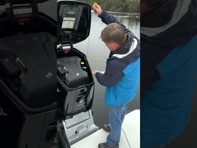 Mercury 600 HP Outboard Oil Check