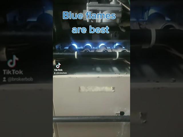Blue flames in your furnace are best. Orange flames carbon issues.