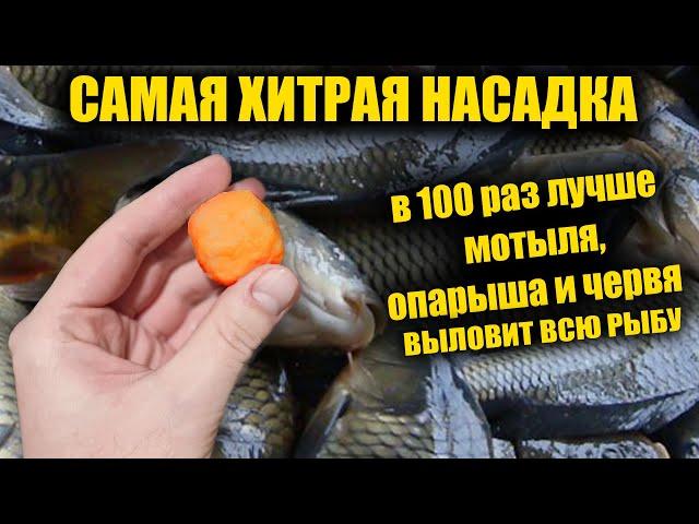 THE SMARTEST FISHING! SUPER BAIT FOR FISHING!