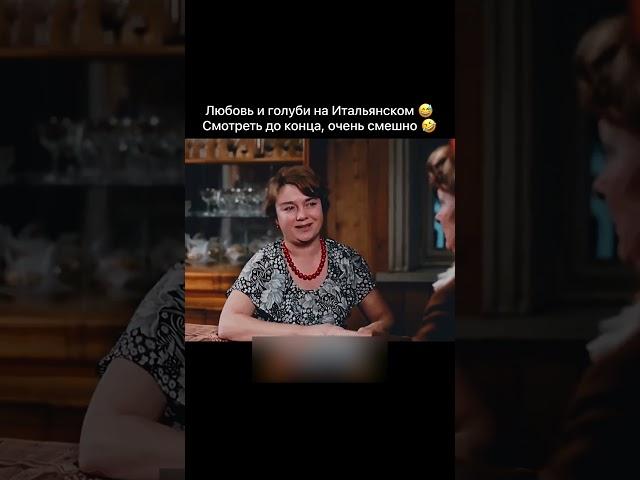 Любовь и голуби на итальянском  #love #любовь_и_голуби #funny #italian