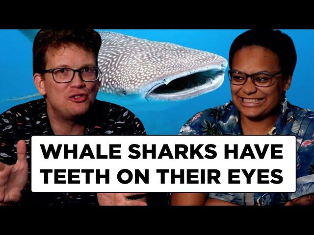 The Two Coolest Things we Know About Sharks