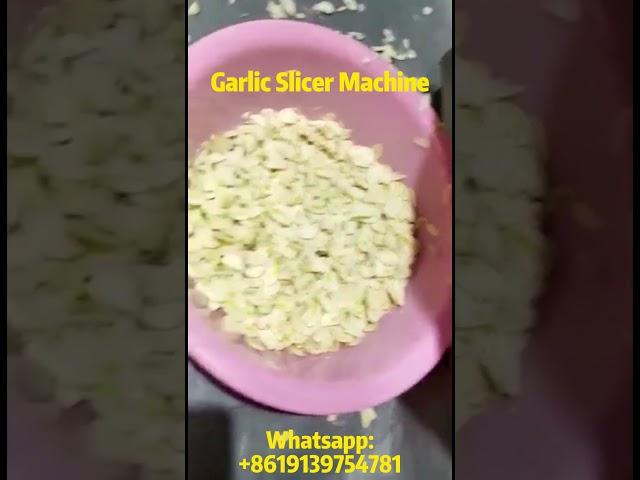 Cut Garlic Quickly, Evenly, and in Large Quantities! See How Powerful this Garlic Slicer Machine Is!