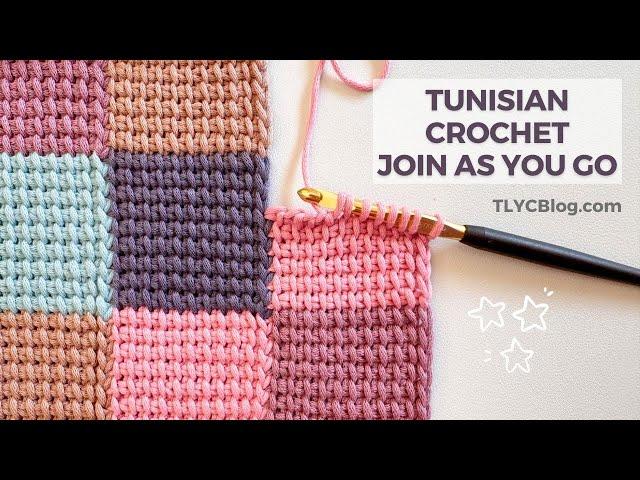 MIND = BLOWN! Super EASY & FAST Tunisian Crochet JAYG with Color Changes | Beginner Crochet Tutorial