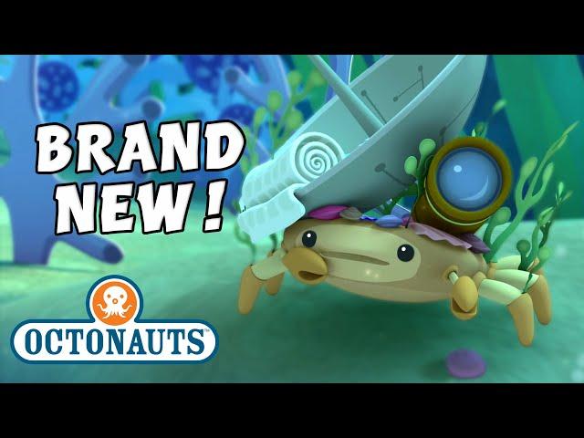 @Octonauts - The Decorator Crab | Full Episode 5 | @Kidzuko
