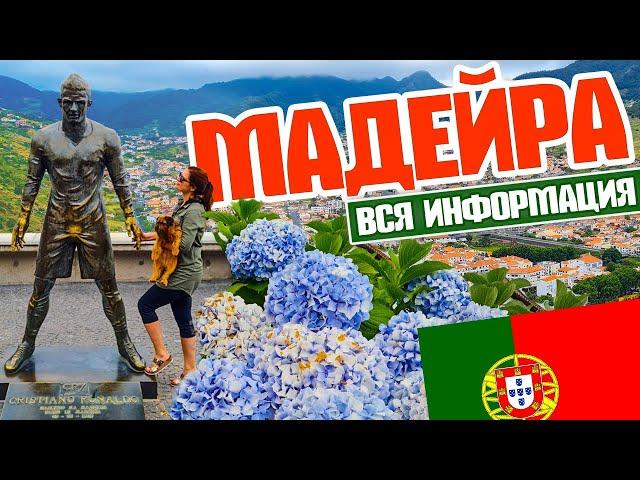 Мадейра. Вы точно захотите сюда приехать!