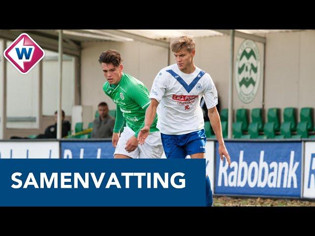 Samenvatting Westlandia - DEM