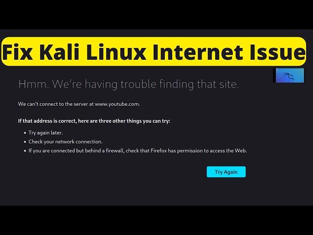 Fix Kali Linux Internet Connection Issue | Solved Kali Linux Network issue