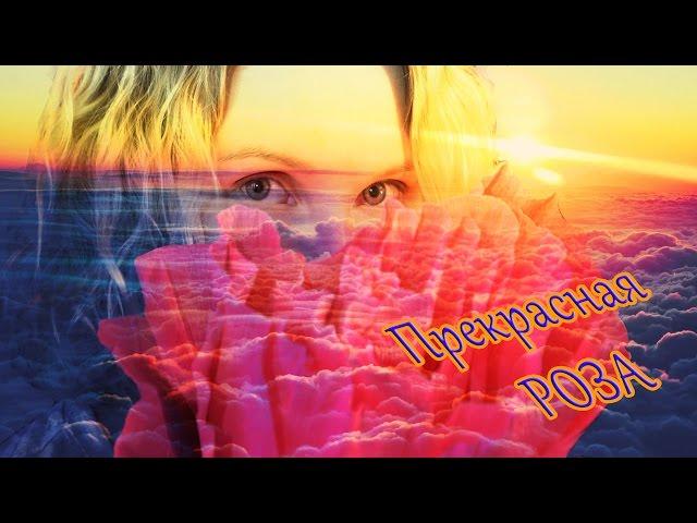Украшение | Розовый бутон из гафрированнй бумаги. Цветок РОЗЫ