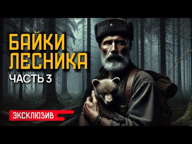 БАЙКИ ЛЕСНИКА (ЧАСТЬ 3) - Лесные и Деревенские Истории На Ночь