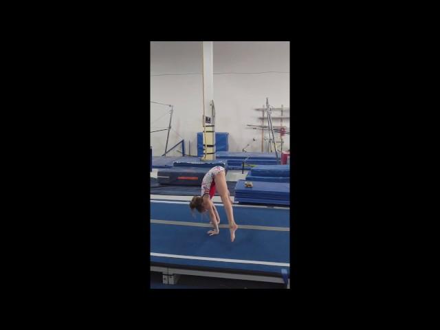 The guide to starting your gymnast on an elite path - Preview 1