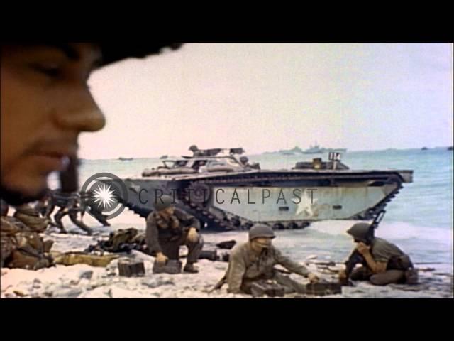 LVT and tank destroyer arrive on a beach Eniwetok Atoll, Marshall Islands during ...HD Stock Footage