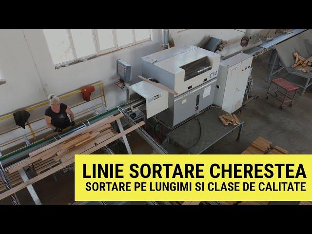 Linie optimizare cherestea uscata - sortare cherestea pe lungimi si clase de calitate