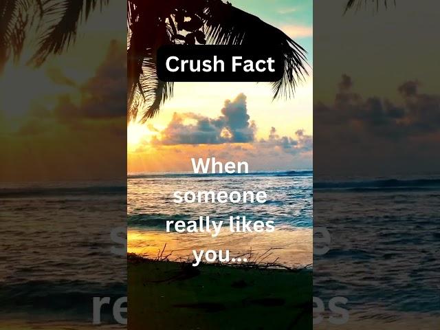 #LoveFacts #RelationshipTruths #PsychologyFacts #CrushFacts #DeepThoughts #Shorts