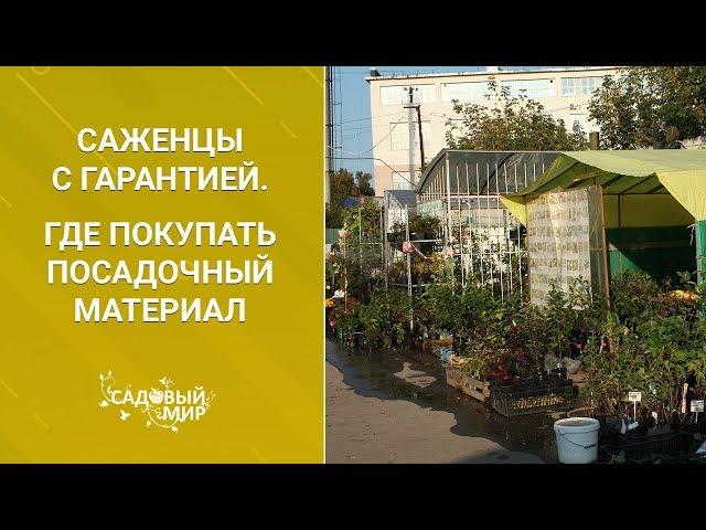 Саженцы с гарантией. Где покупать посадочный материал