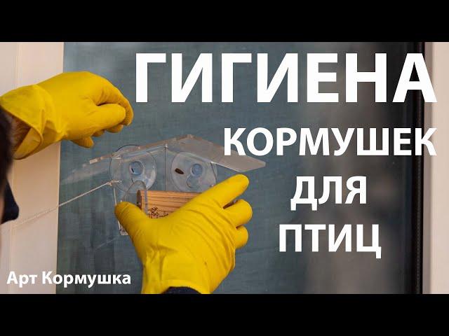 Гигиена кормушек для птиц! Моем и кормим! Весенняя подкормка Feeder hygiene! Cleaning bird feeders!