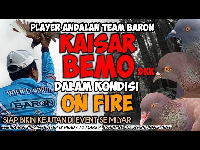 PLAYER ANDALAN TEAM BARON KAISAR BEMO DKK DALAM KONDISI ON FIRE/MERPATI KOLONG/MERPATI BARON/MERPATI