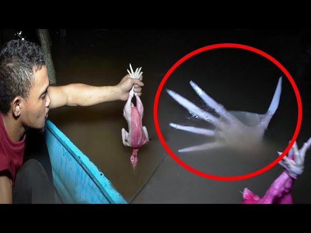 What A Fisherman Caught On Camera Shocked The Whole World