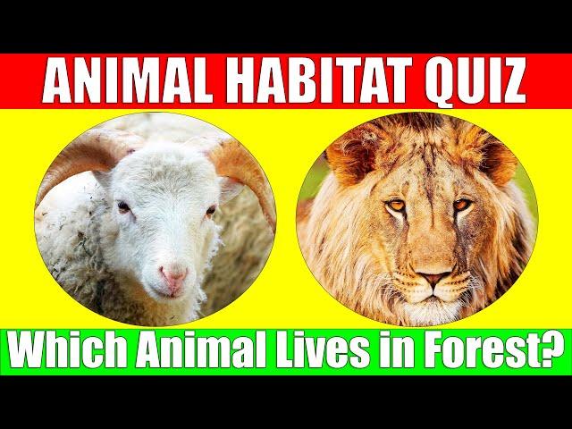 Animal Habitat Quiz | Animal Quiz for Kids, Preschoolers, and Kindergarten Toddlers