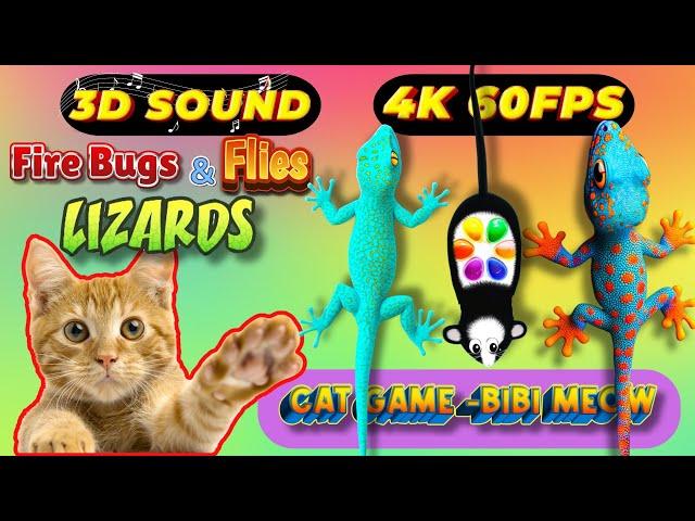 CAT GAMES TOM TV & BiBi | Ultimate Compilation Catching The LIZARDS , Flies, FireBugs11 HOURVol 62