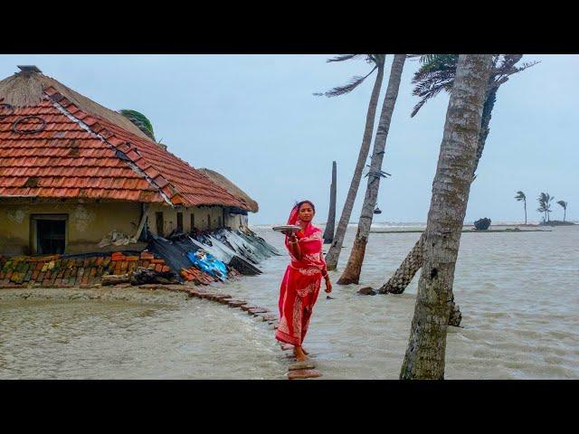 The Sundarbans Mangrove Delta Forest in Asia—Educational Video (English)