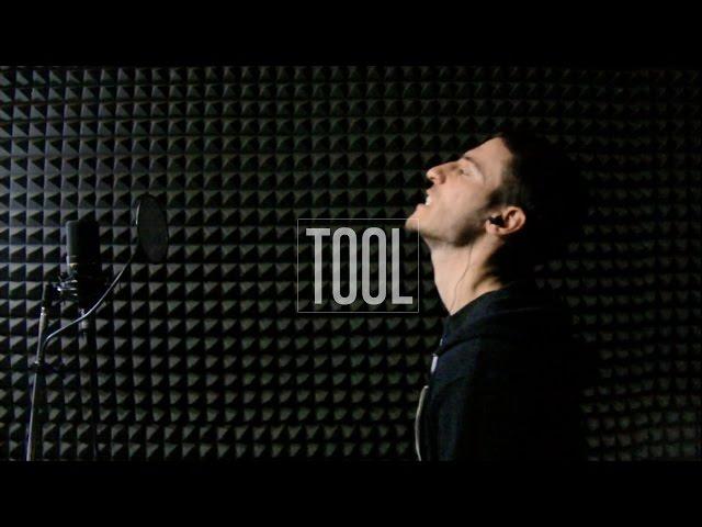 Tool - Vicarious (vocal cover w/ lyrics)