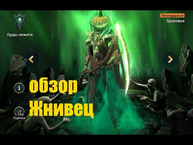 Raid: Shadow Legends. Жнивец, в простонародье Тыква - универсальная имба для любых целей...