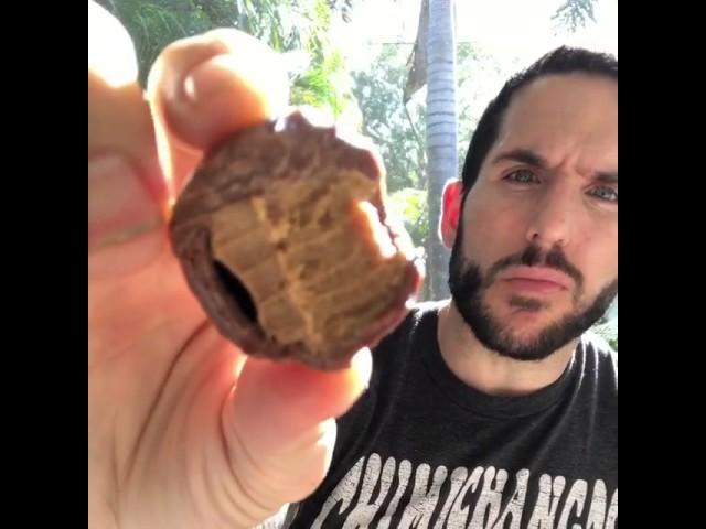 Fun Sized Review: Reese' Peanut Butter Cream Egg