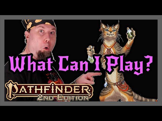 Top 12 Pathfinder 2e Classes | My Favorites