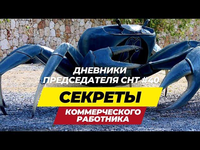 Дневники Председателя СНТ#40: Секреты коммерческого успеха