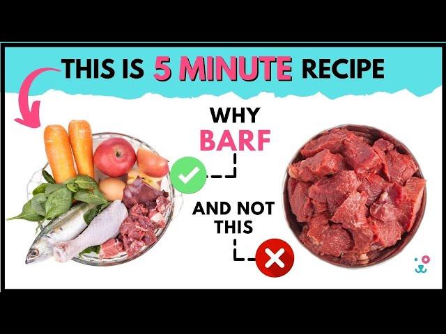 What is BARF Diet & how does it helps in building the MUSCLE of your dog or puppy  fast.