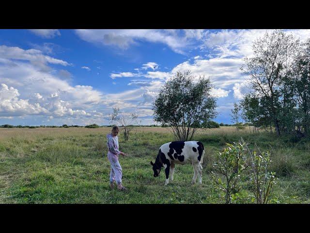 В Гостях у природы. Кормилица семьи - Корова.