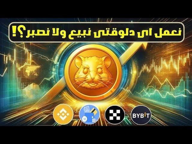 تحليل  عملة الهامستر و هل تبيع او تشتري و هل ستصل الي 1 دولار HAMSTER KOMBAT 2024/10/27